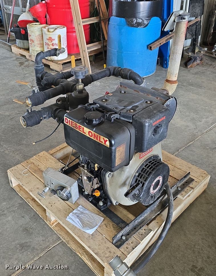 image for item EH8674 (2) Darley pumps