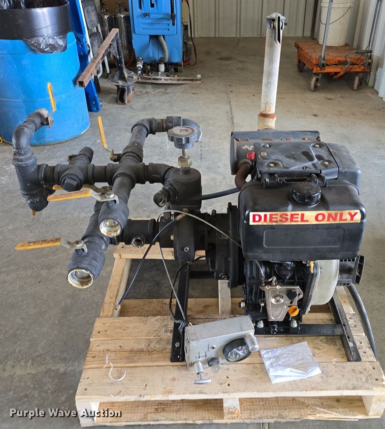 image for item EH8674 (2) Darley pumps