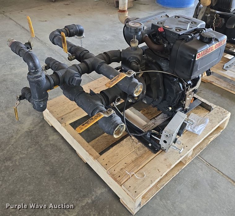 image for item EH8674 (2) Darley pumps