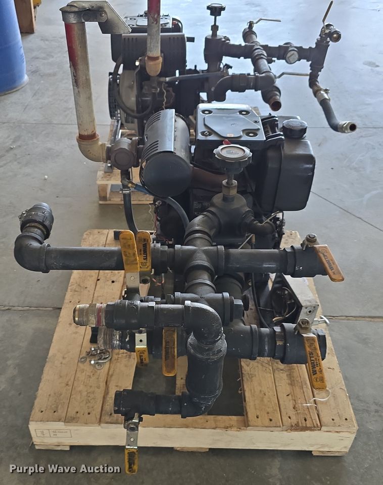 image for item EH8674 (2) Darley pumps