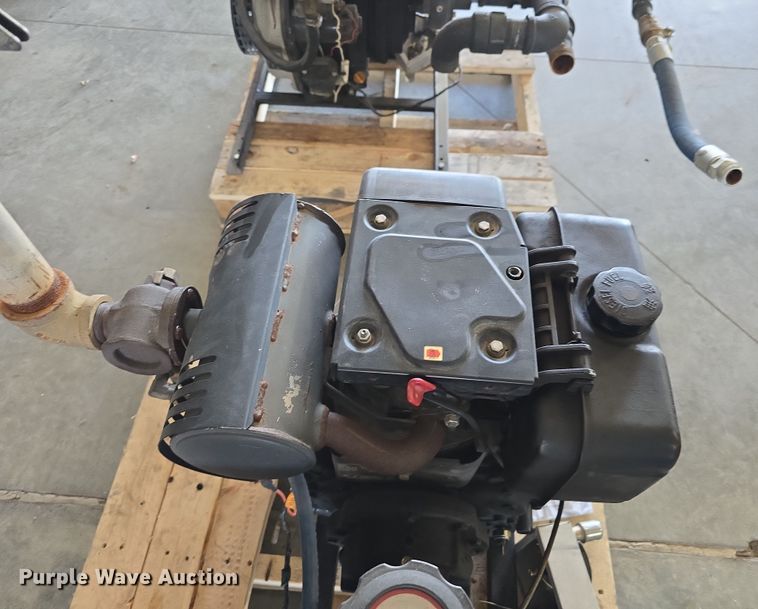 image for item EH8674 (2) Darley pumps