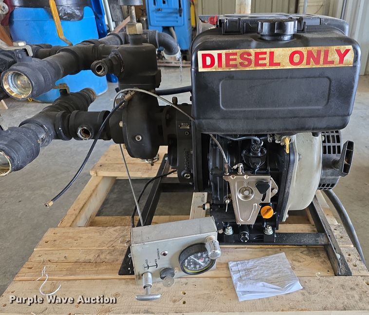 image for item EH8674 (2) Darley pumps