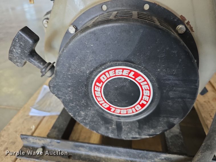 image for item EH8674 (2) Darley pumps