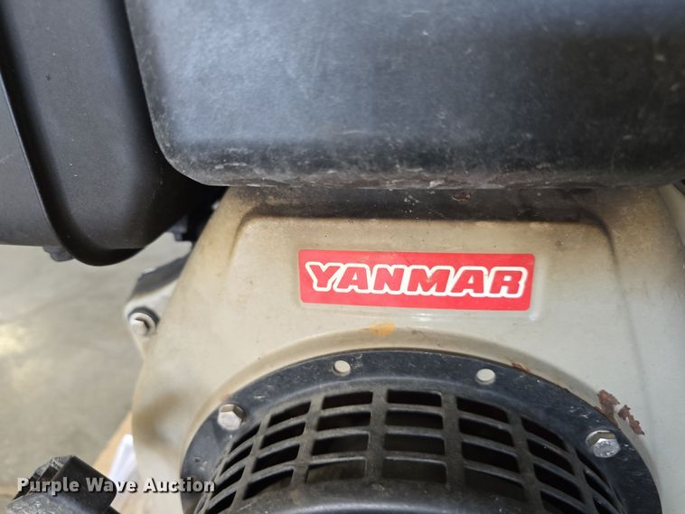 image for item EH8674 (2) Darley pumps