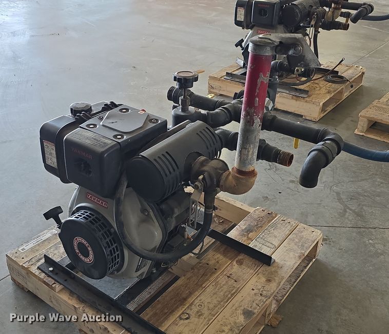 image for item EH8674 (2) Darley pumps