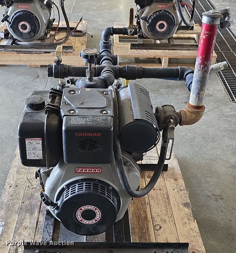 image for item EH8674 (2) Darley pumps