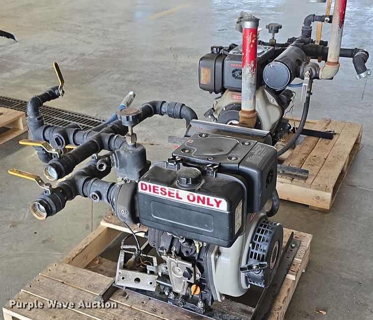 image for item EH8674 (2) Darley pumps