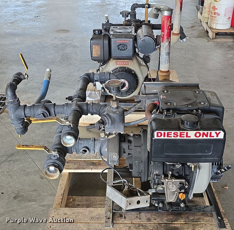 image for item EH8674 (2) Darley pumps