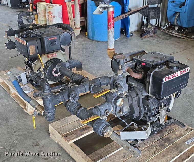 image for item EH8674 (2) Darley pumps