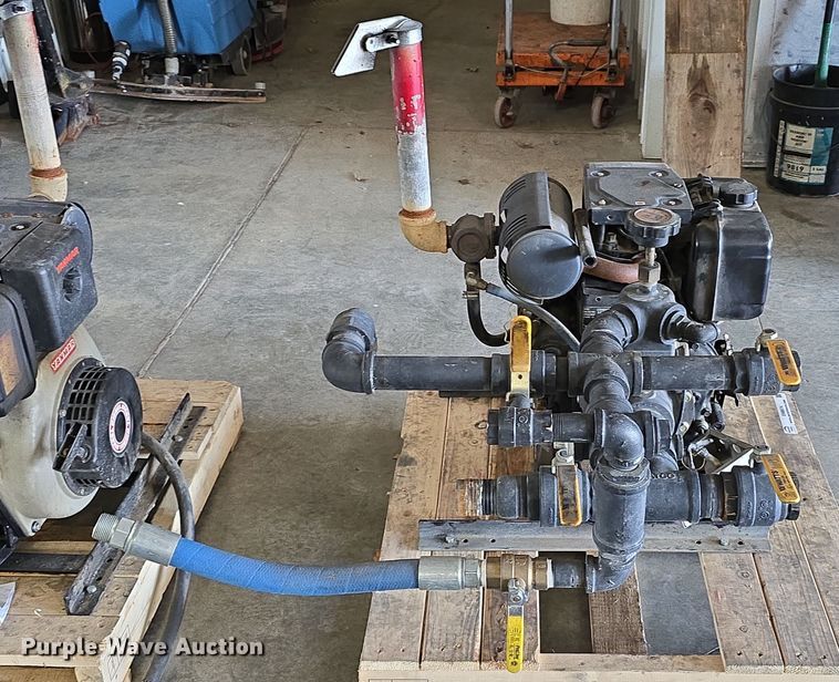 image for item EH8674 (2) Darley pumps