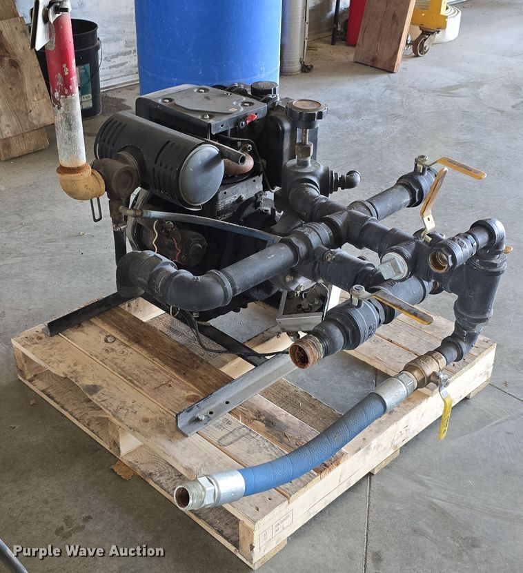 image for item EH8674 (2) Darley pumps