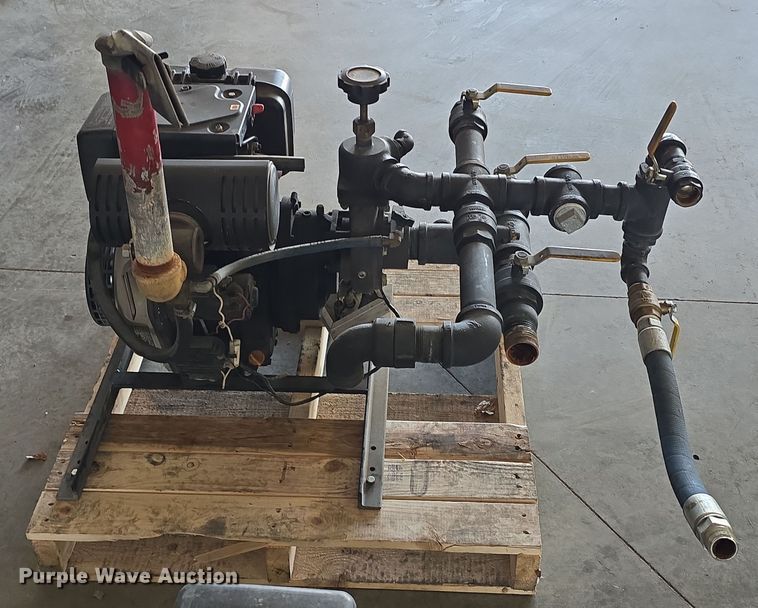 image for item EH8674 (2) Darley pumps