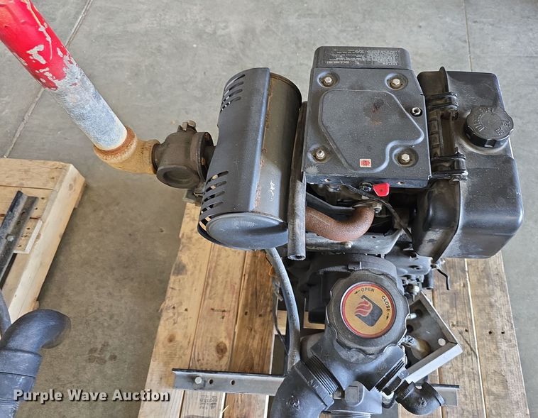 image for item EH8674 (2) Darley pumps