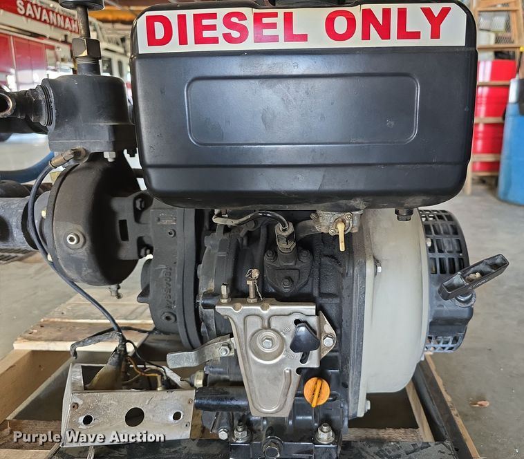 image for item EH8674 (2) Darley pumps