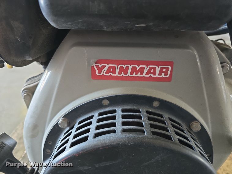 image for item EH8674 (2) Darley pumps