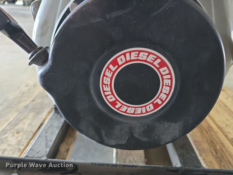 image for item EH8674 (2) Darley pumps