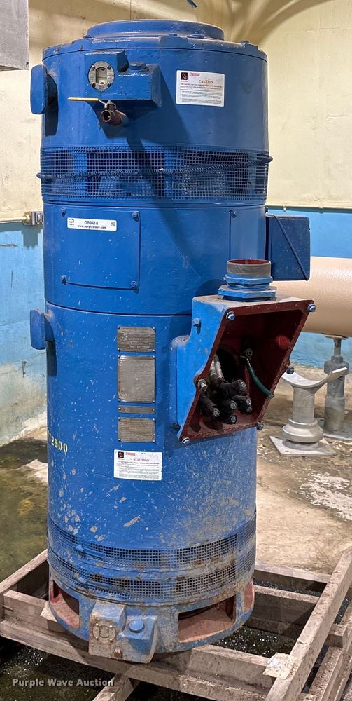 image for item OB9418 General Electric WT2900 pump