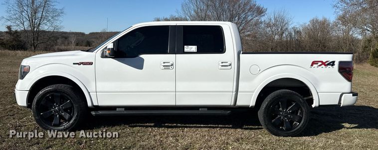 image for item DM5614 2014 Ford F150 SuperCrew pickup truck