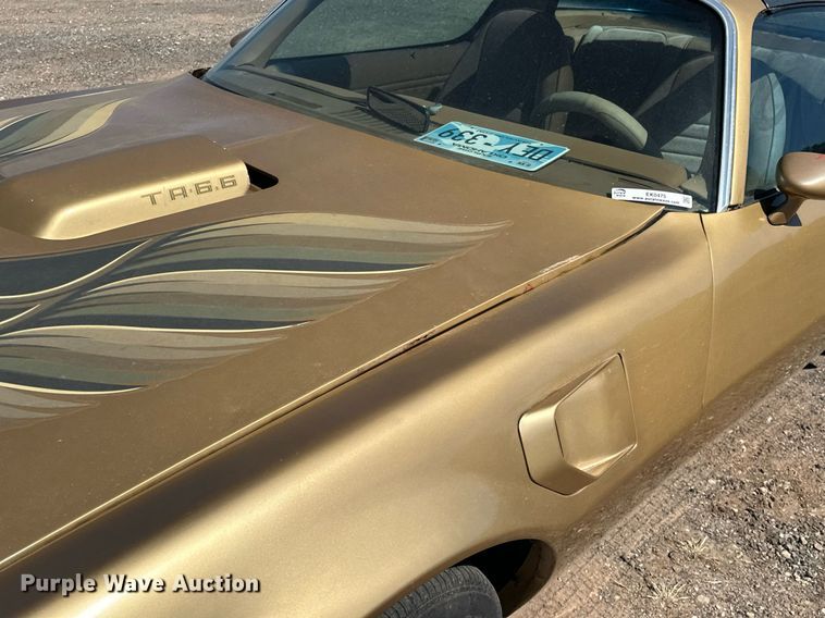 image for item EK0475 1979 Pontiac Firebird Trans-Am 
