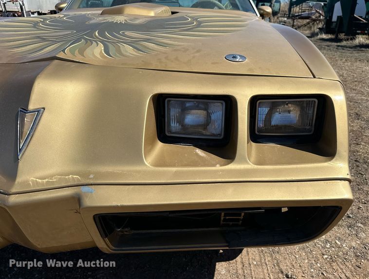 image for item EK0475 1979 Pontiac Firebird Trans-Am 
