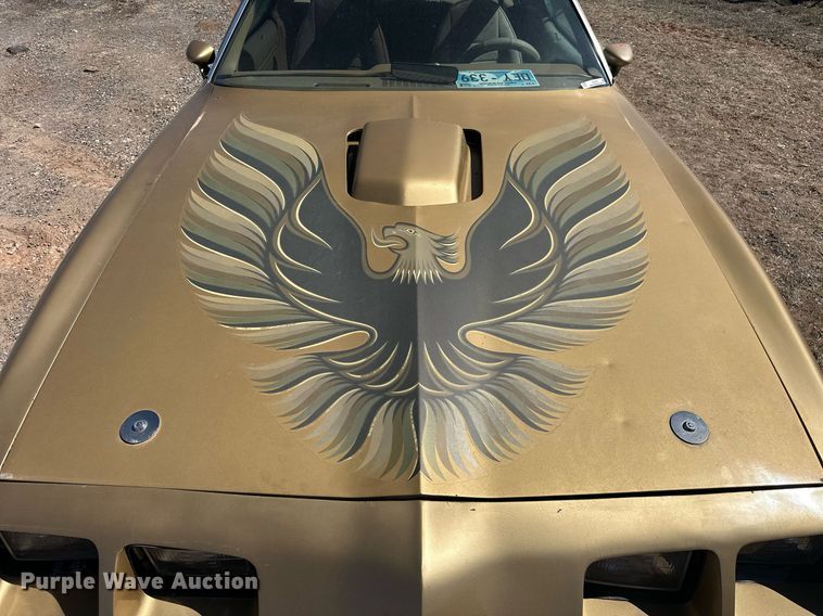 image for item EK0475 1979 Pontiac Firebird Trans-Am 