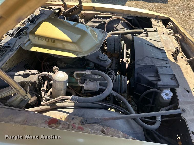 image for item EK0475 1979 Pontiac Firebird Trans-Am 