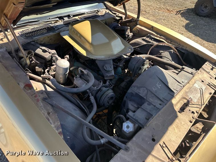 image for item EK0475 1979 Pontiac Firebird Trans-Am 
