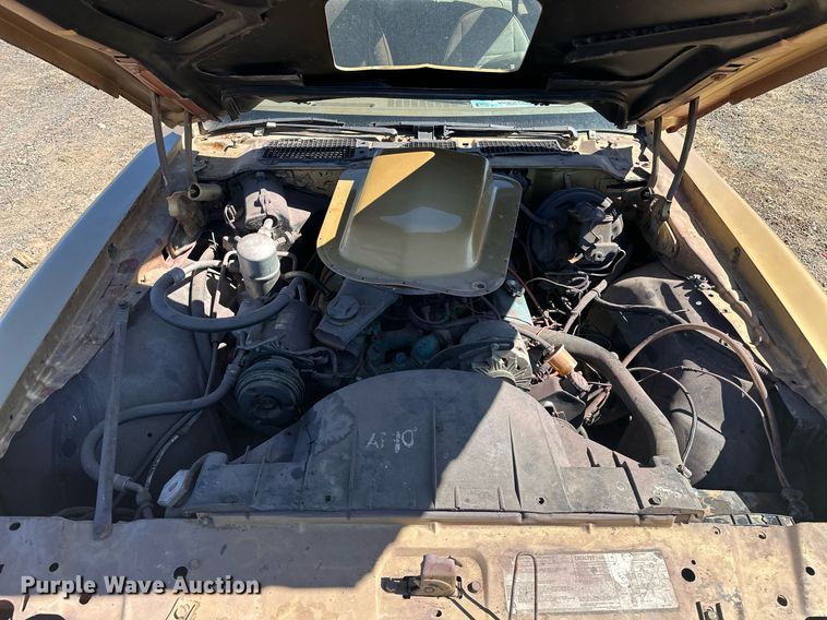 image for item EK0475 1979 Pontiac Firebird Trans-Am 