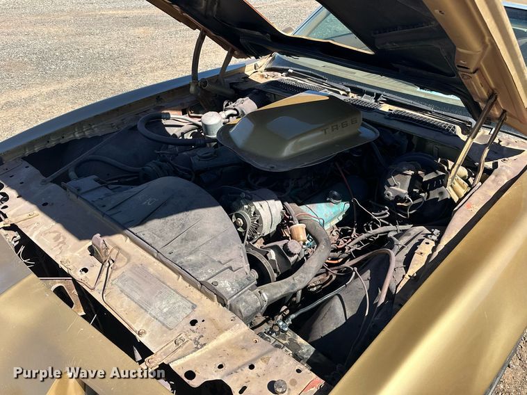 image for item EK0475 1979 Pontiac Firebird Trans-Am 