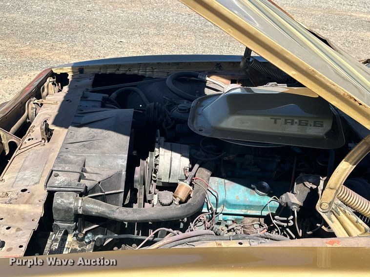 image for item EK0475 1979 Pontiac Firebird Trans-Am 