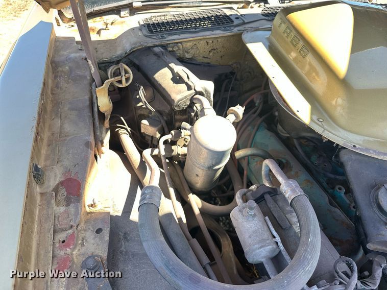 image for item EK0475 1979 Pontiac Firebird Trans-Am 