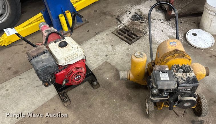 image for item DV0688 (2) pumps