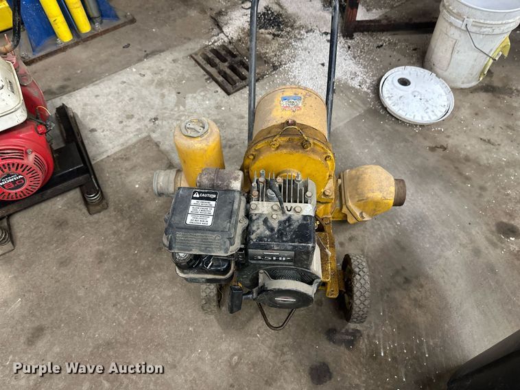 image for item DV0688 (2) pumps