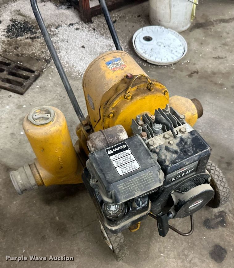 image for item DV0688 (2) pumps