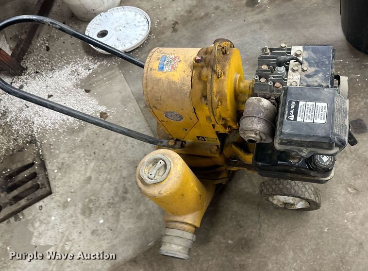 image for item DV0688 (2) pumps