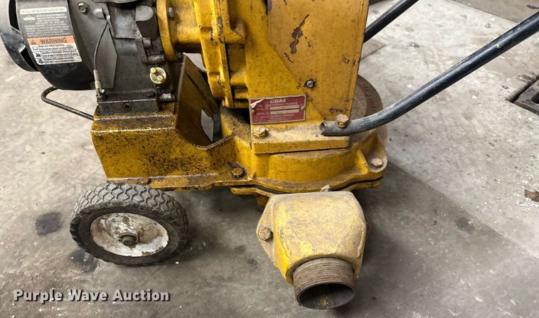 image for item DV0688 (2) pumps