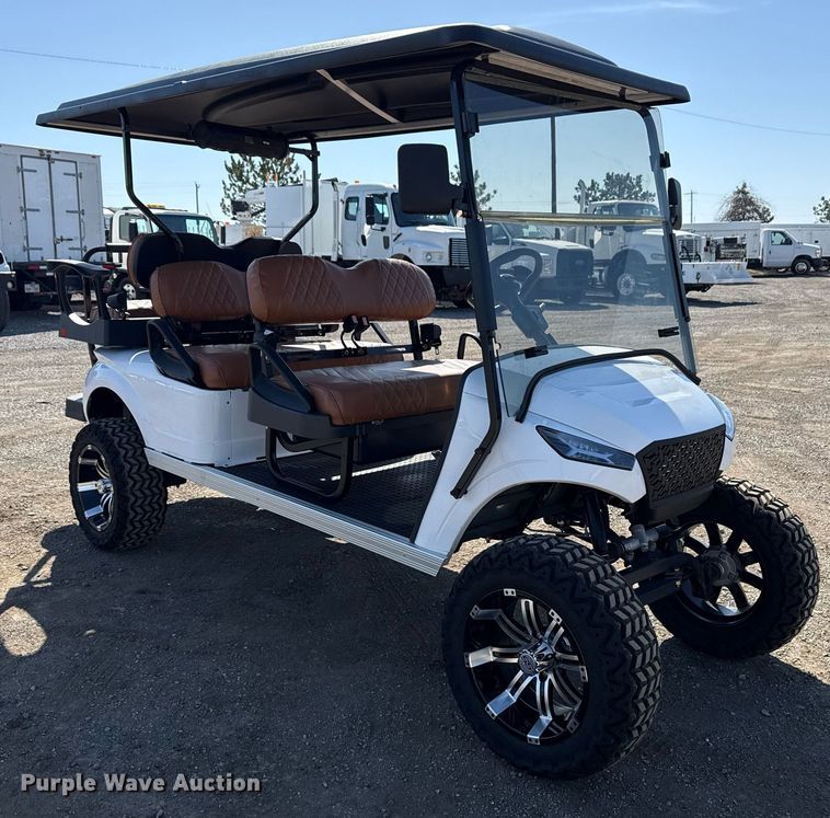 image for item EG2634 2022 Dannys Custom Golf Carts golf cart