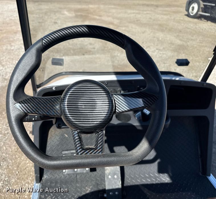 image for item EG2634 2022 Dannys Custom Golf Carts golf cart