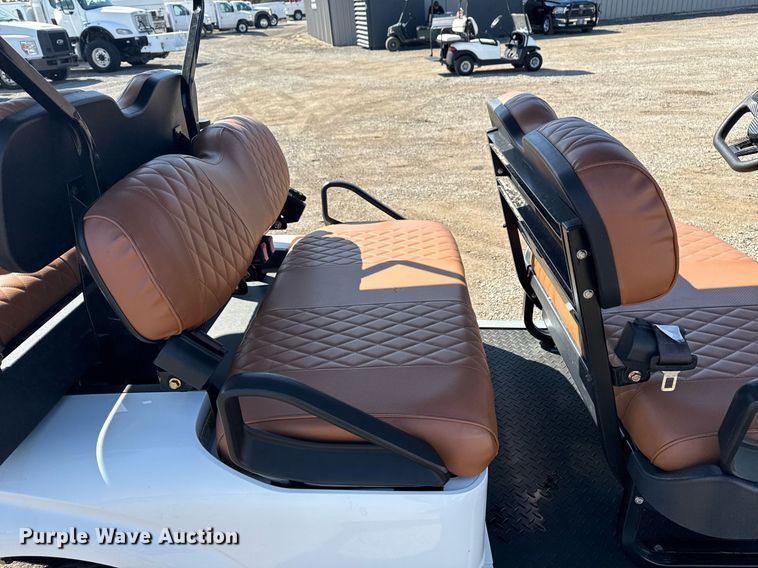 image for item EG2634 2022 Dannys Custom Golf Carts golf cart