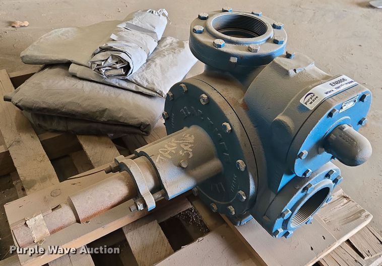 image for item EN8806 Blackmer NP4A water pump