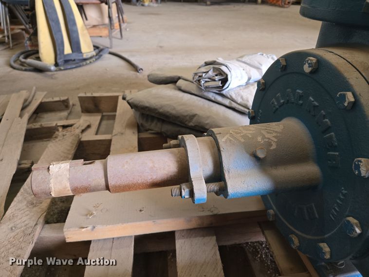 image for item EN8806 Blackmer NP4A water pump