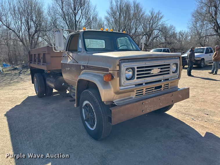 image for item ER8934 1980 Chevrolet C60 dump truck
