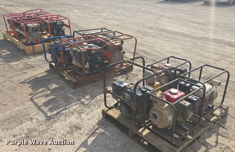 image for item DW8657 (12) pumps