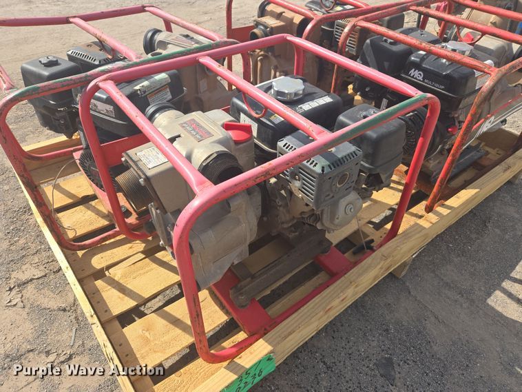 image for item DW8657 (12) pumps