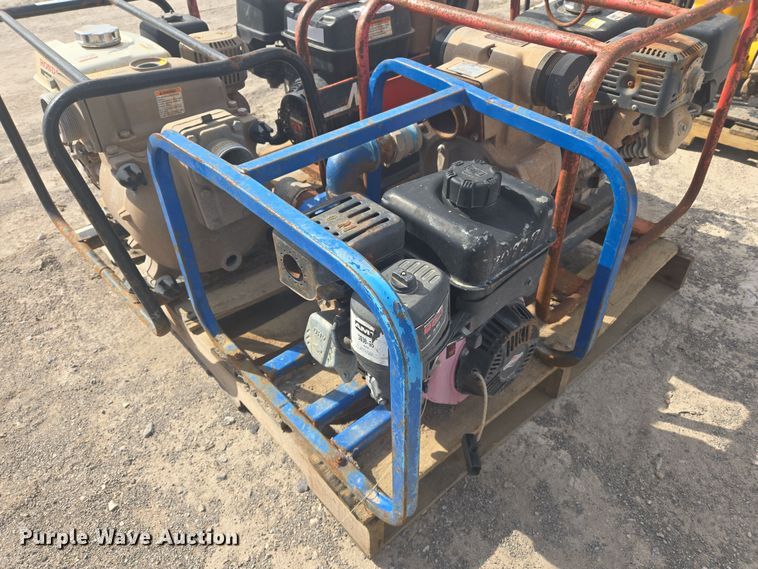 image for item DW8657 (12) pumps