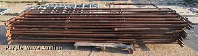 image for item EG6228 (11) 10' x 37