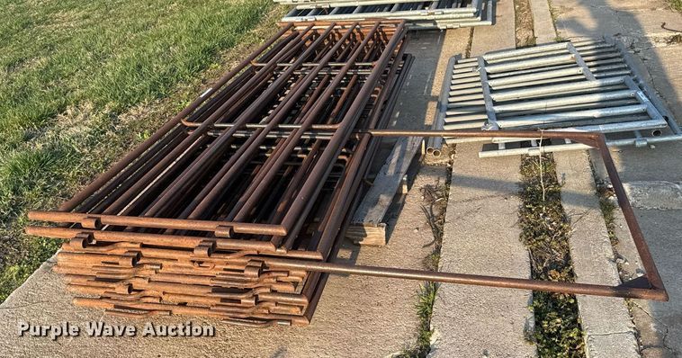 image for item EG6228 (11) 10' x 37