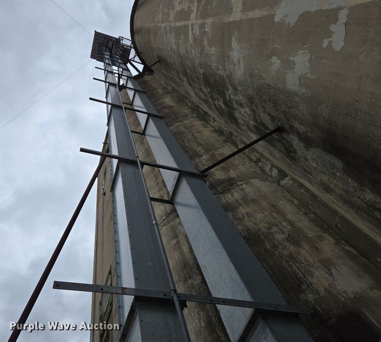 image for item DS5366 GSI Grain leg bucket elevator