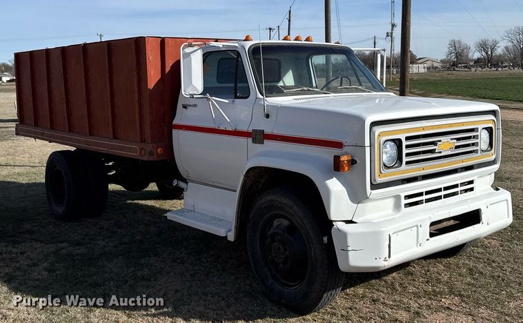 image for item EG6172 1974 Chevrolet C60 grain truck