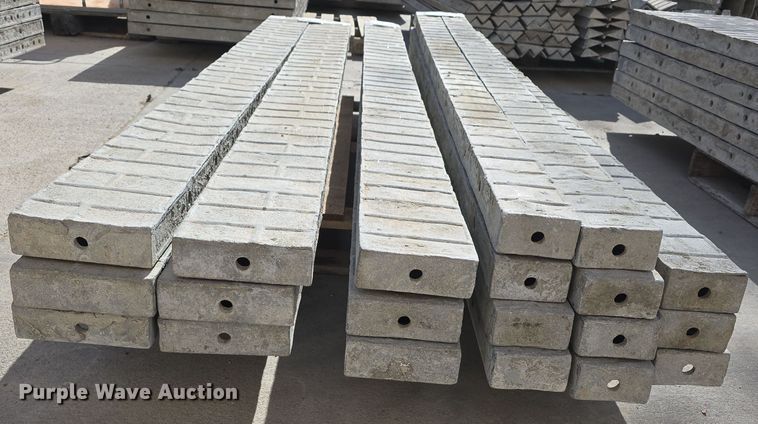 image for item EH8792 (20) concrete wall forms